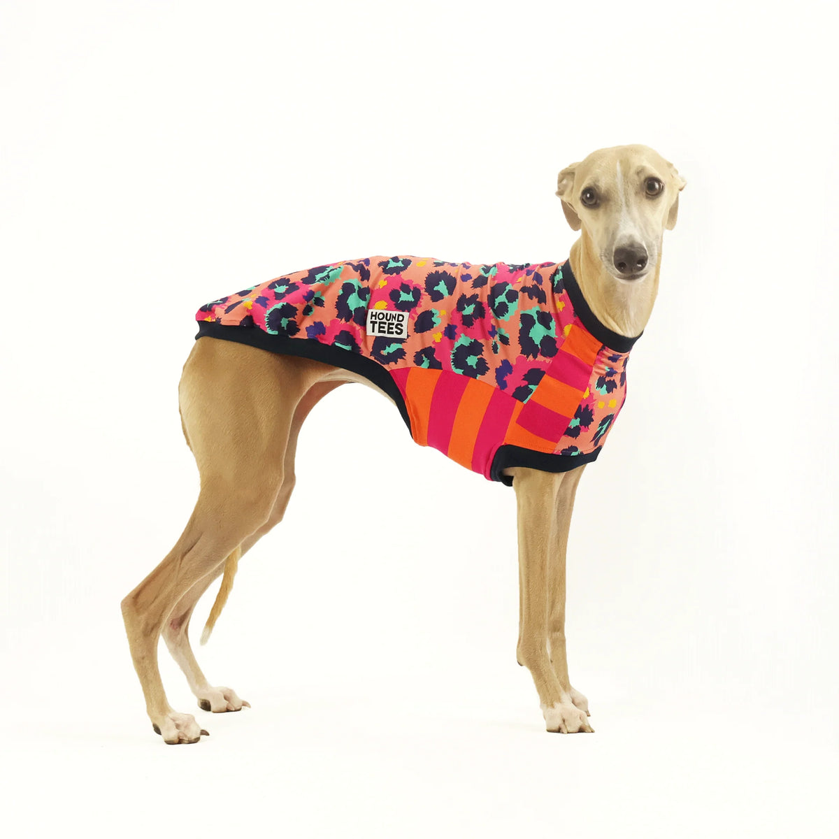 Peggy Disco Whippet Hound-Tee