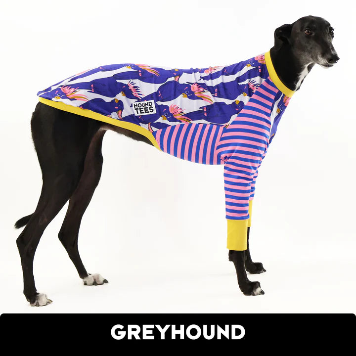 Pesky Birbs Greyhound Hound-Tee
