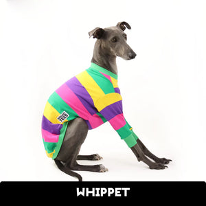 Pool Noodle Whippet Hound-Tee
