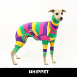 Load image into Gallery viewer, Pool Noodle Whippet Long Johns
