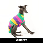 Load image into Gallery viewer, Pool Noodle Whippet Hound-Tee
