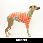 Laden Sie das Bild in den Galerie-Viewer, Pumpkin Spice Whippet Hound-Tee
