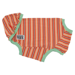 Pumpkin Spice Whippet Hound-Tee