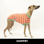Load image into Gallery viewer, Pumpkin Spice Whippet Hound-Tee
