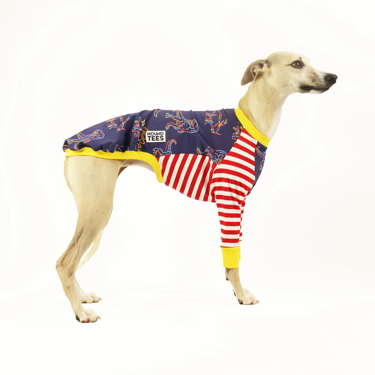 Rawr Whippet Hound-Tee