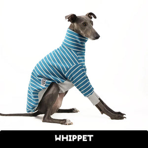 Silver Lining Whippet Sweater