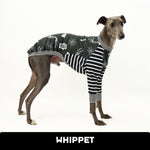 Load image into Gallery viewer, VORBESTELLUNG Skelly Whippet Hound-Tee
