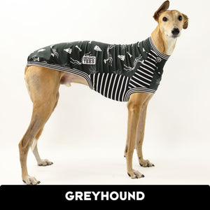 VORBESTELLUNG Skelly Greyhound Hound-Tee