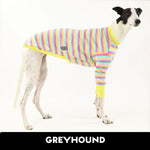 Laden Sie das Bild in den Galerie-Viewer, Snowcone Greyhound Hound-Tee

