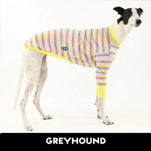 Snowcone Greyhound Hound-Tee