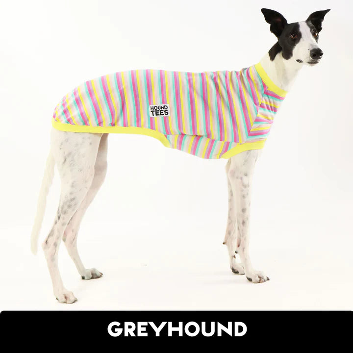 Snowcone Greyhound Hound-Tee