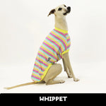Load image into Gallery viewer, Snowcone Whippet Hound-Tee
