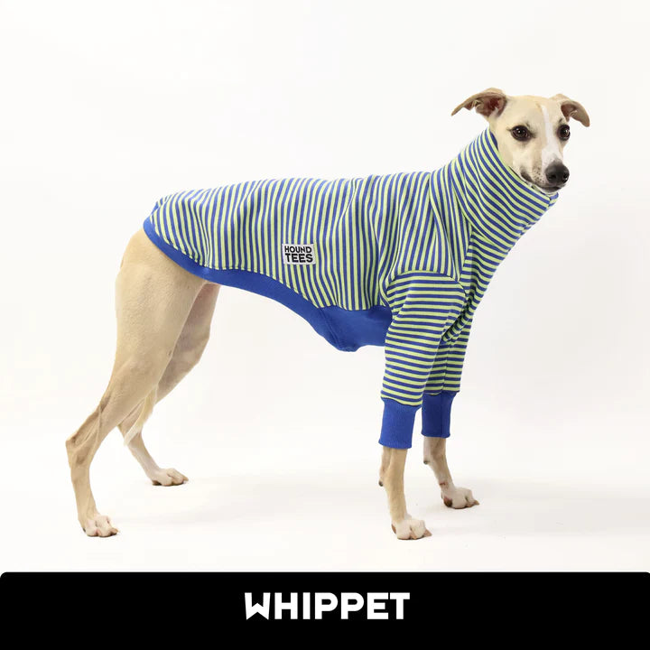 Space Cadet Whippet Sweater
