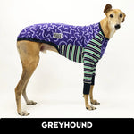 Laden Sie das Bild in den Galerie-Viewer, VORBESTELLUNG Spooky Snoot Greyhound Hound-Tee
