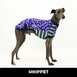 Load image into Gallery viewer, VORBESTELLUNG Spooky Snoot Whippet Hound-Tee
