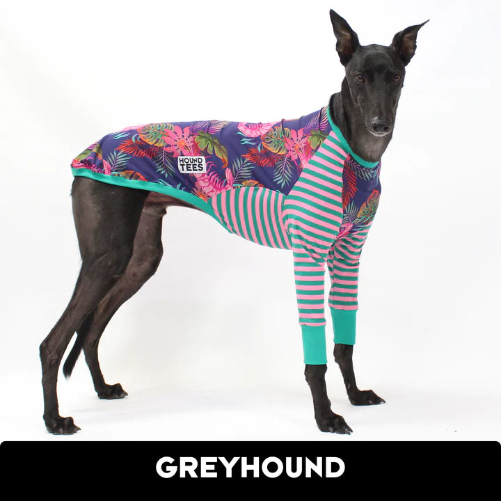 Street Snacks Greyhound Hound-Tee