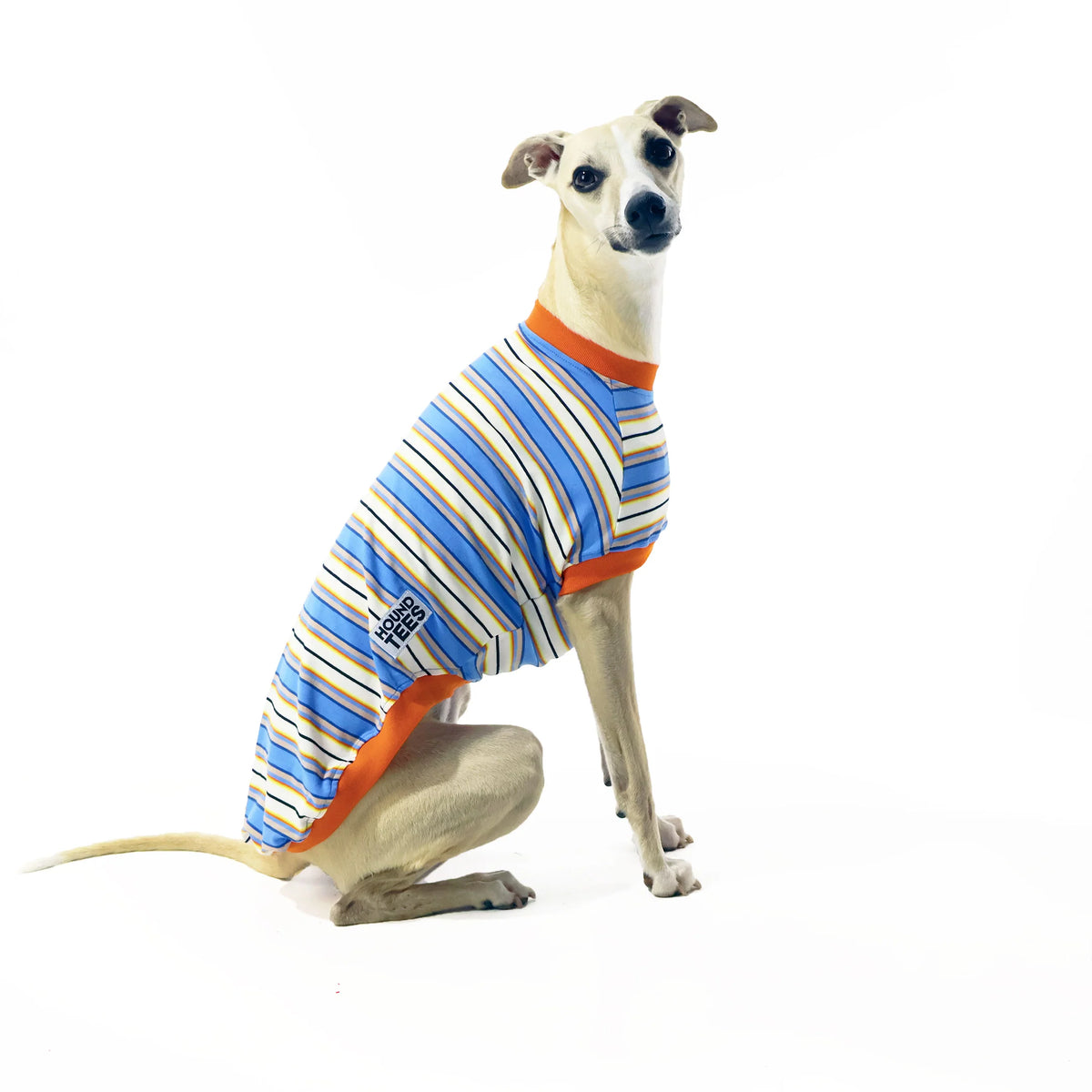 Super Freak Whippet Hound-Tee