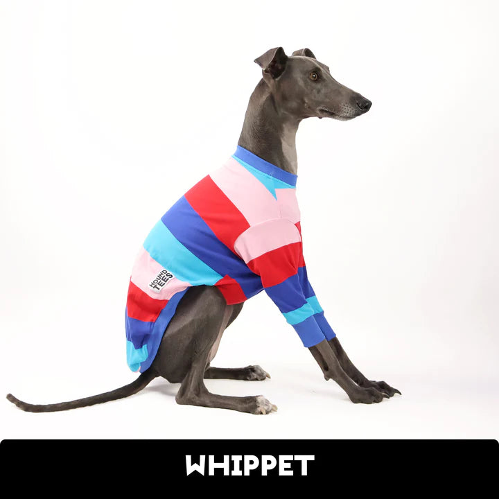 Surfs Up Whippet Hound-Tee