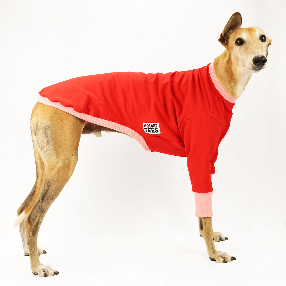 VORBESTELLUNG Sweet Cheeks Greyhound Sweater