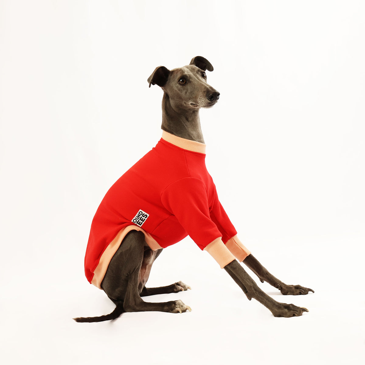 VORBESTELLUNG Sweet Cheeks Whippet Sweater