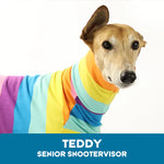Load image into Gallery viewer, Teddy Whippet Tweater
