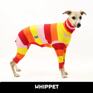 Tiki Bar Whippet Long Johns