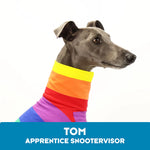 Laden Sie das Bild in den Galerie-Viewer, Tom Whippet Tweater
