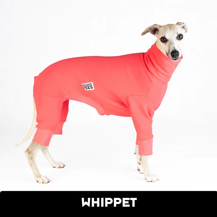 Watermelon Whippet Snoot Suit