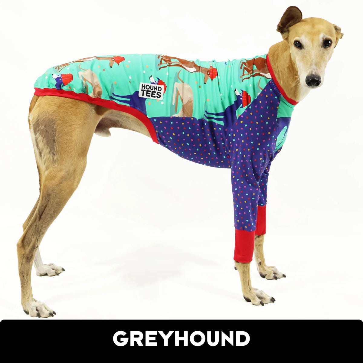 Whippet Good Greyhound Hound-Tee