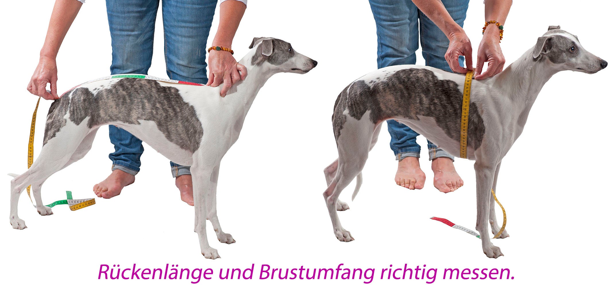 Polar-Fleece Mantel | Windhunde, schmale Rassen, alle Rassen - Auslaufartikel