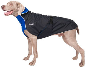 Alpin Blazer - Regenmantel (warm) | Standard für alle Rassen