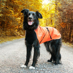 Load image into Gallery viewer, Alpin Blazer - Regenmantel (warm) | Standard für alle Rassen
