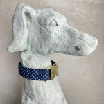 Laden Sie das Bild in den Galerie-Viewer, Halsband Alex
