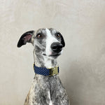 Laden Sie das Bild in den Galerie-Viewer, Halsband Alex
