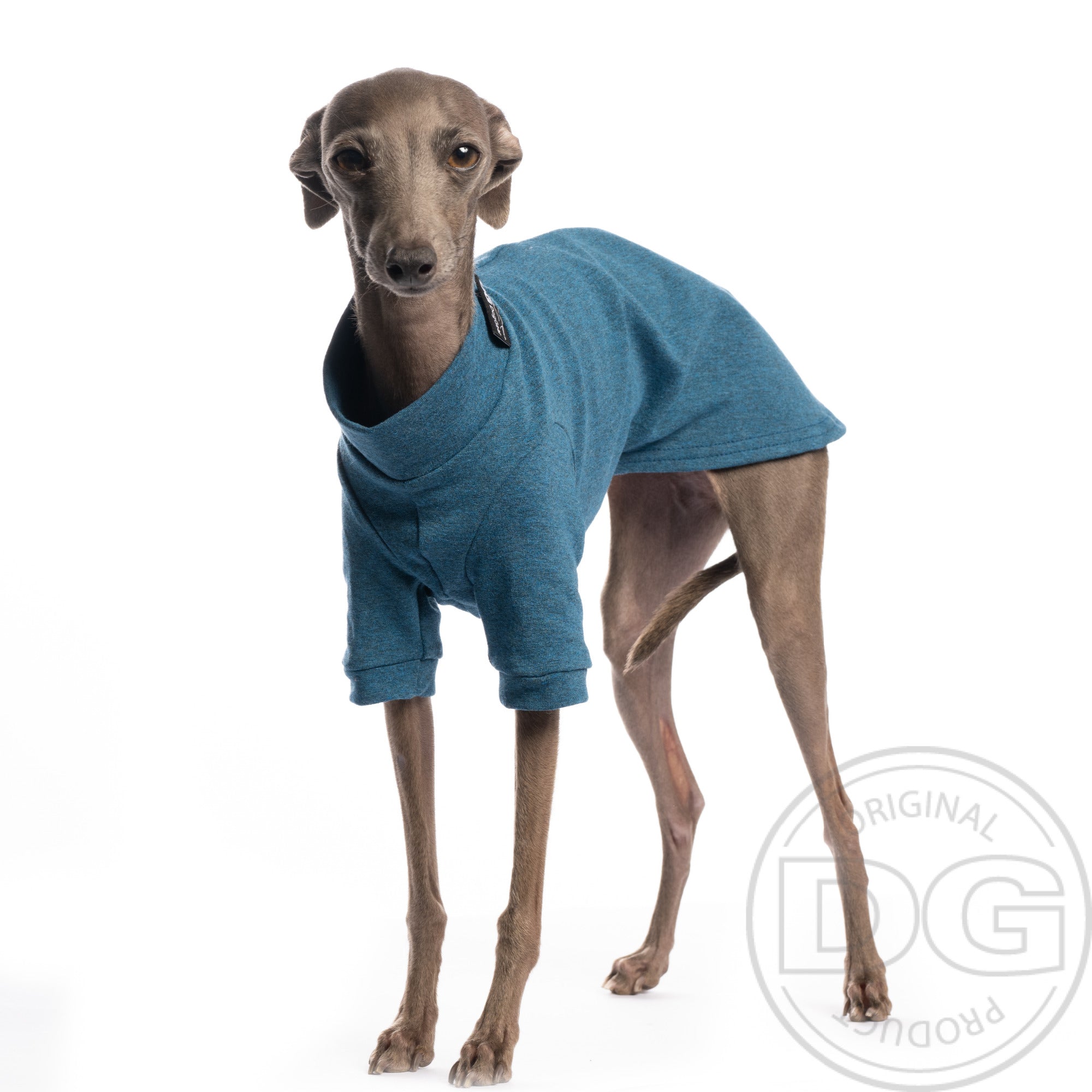 Baumwollshirt Urban Winter Unterwäsche | Windhunde und schmale Rassen