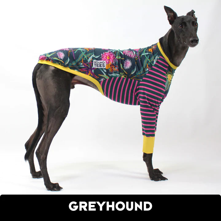 Ash Newman Boitterfly Greyhound Hound-Tee