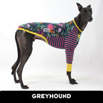 Laden Sie das Bild in den Galerie-Viewer, Ash Newman Boitterfly Greyhound Hound-Tee
