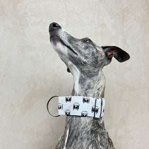 Zugstopp Halsband Bulli