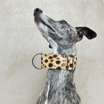 Laden Sie das Bild in den Galerie-Viewer, Zugstopp Halsband Celine
