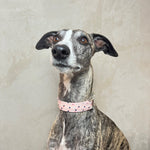 Laden Sie das Bild in den Galerie-Viewer, Halsband Clarissa
