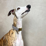Laden Sie das Bild in den Galerie-Viewer, Halsband Cleo
