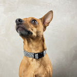 Laden Sie das Bild in den Galerie-Viewer, Halsband Cleo
