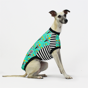 Richard Skipworth Flying Houndies Whippet Hound-Tee