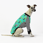 Laden Sie das Bild in den Galerie-Viewer, Richard Skipworth Flying Houndies Whippet Hound-Tee
