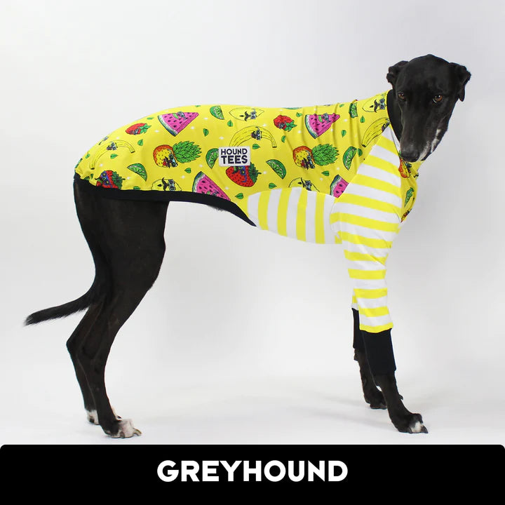Mulga Fruit Party Greyhound Hound-Tee