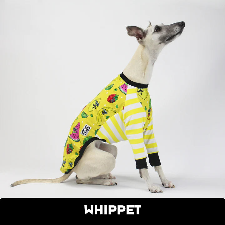 Mulga Fruit Party Whippet Hound-Tee