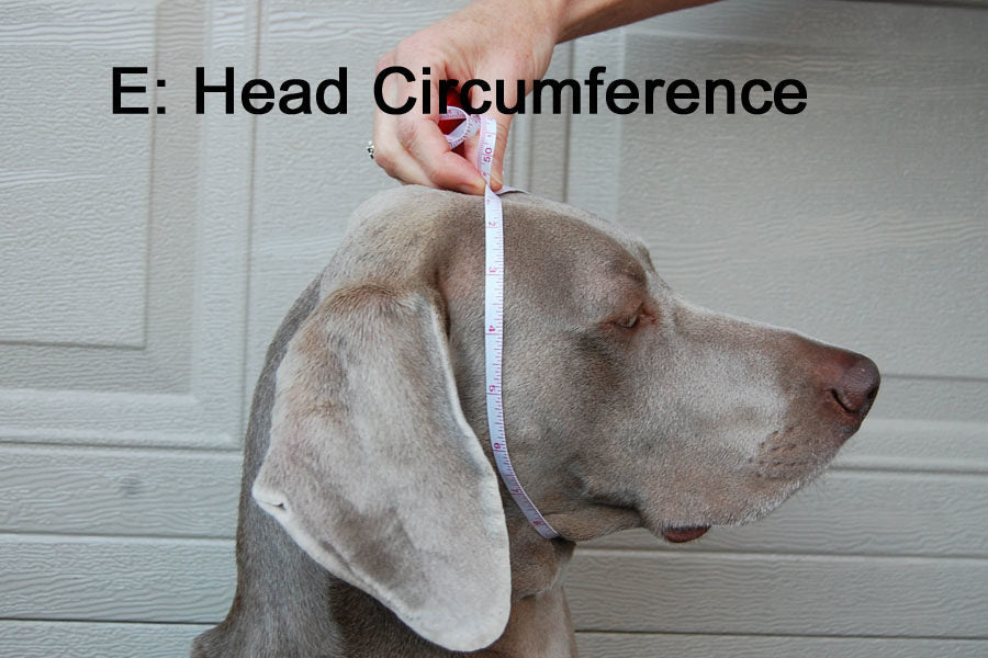 Head Muff - Hals- und Ohrenwärmer