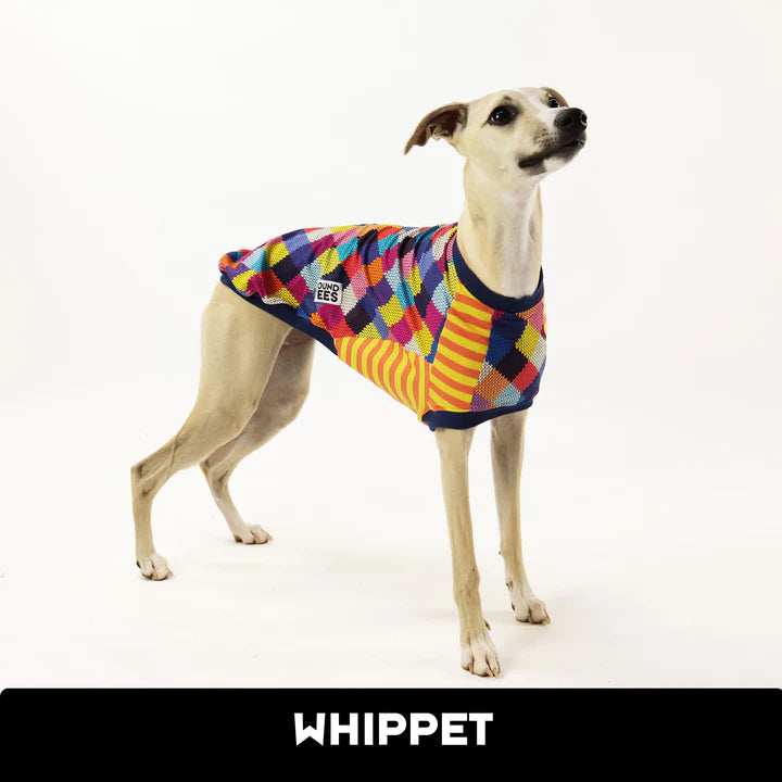 Lucky Last! Happy-Happy Joy-Joy Whippet Hound-Tee