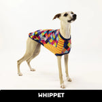 Load image into Gallery viewer, Lucky Last! Happy-Happy Joy-Joy Whippet Hound-Tee

