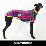 Laden Sie das Bild in den Galerie-Viewer, Ash Newman Honey Squares Greyhound Hound-Tee
